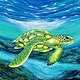 turtle.jpg